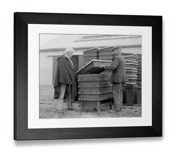 Framed Print : Lloyd George and bees in bee hives May 11th 1934 Framed Print : Lloyd George and bees in bee hives May 11th 1934