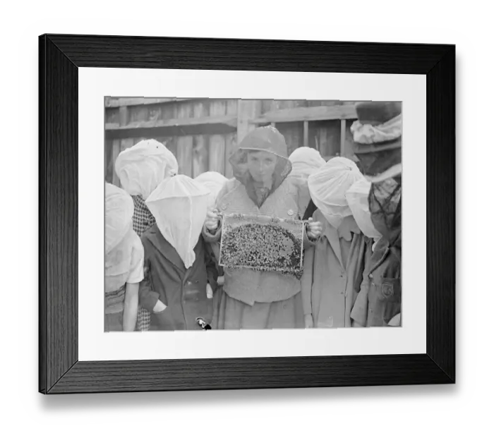 Framed Print : A beekeeping class is an innovation at Wood Lane, Shepherds Bush, London open-air school Framed Print : A beekeeping class is an innovation at Wood Lane, Shepherds Bush, London open-air school