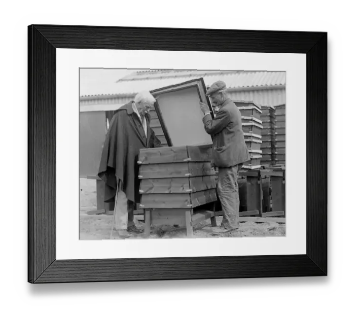 Framed Print : Lloyd George and bees in bee hives May 11th 1934 Framed Print : Lloyd George and bees in bee hives May 11th 1934