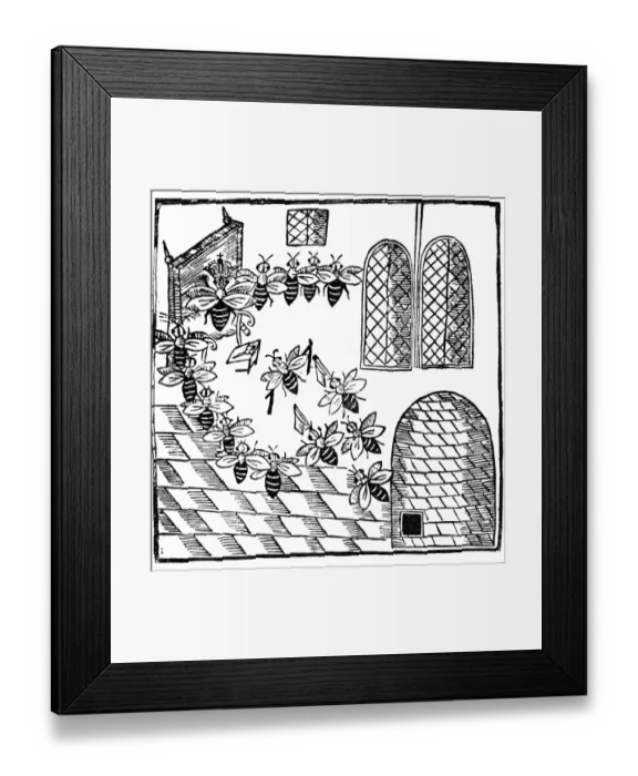 Framed Print : The Parliament is held, Bils and Complaints Heard and reform d, with feverall Framed Print : The Parliament is held, Bils and Complaints Heard and reform d, with feverall