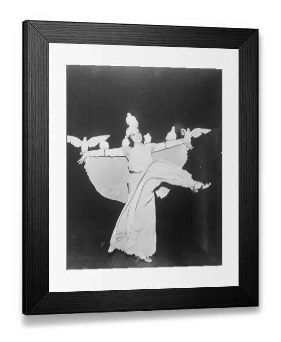 Framed Print : The Dove dance, Americas latest role. The fan dance, having palled on Americas jaded audiences