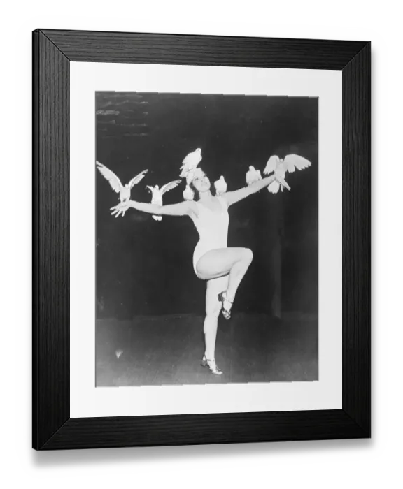Framed Print : The Dove dance, Americas latest role. The fan dance, having palled on Americas jaded audiences Framed Print : The Dove dance, Americas latest role. The fan dance, having palled on Americas jaded audiences