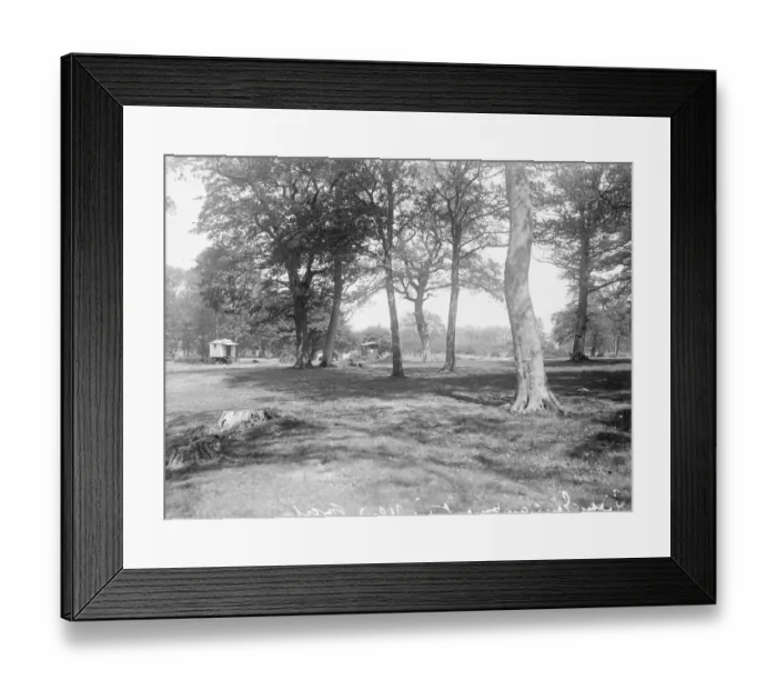 Framed Print : Gipsy encampment in New Forest. Travellers Romany Gypsy Gipsy gypsies Roma Framed Print : Gipsy encampment in New Forest. Travellers Romany Gypsy Gipsy gypsies Roma