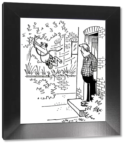 Cartoon by Sax When next doors garden becomes a jungle