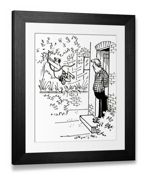Framed Print : Cartoon by Sax When next doors garden becomes a jungle Framed Print : Cartoon by Sax When next doors garden becomes a jungle