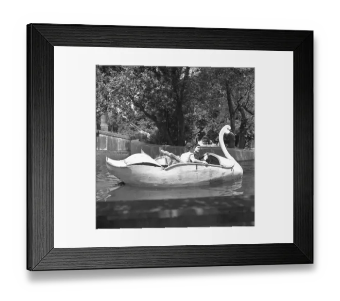 Framed Print : Portugala Lisbons Swan boats Framed Print : Portugala Lisbons Swan boats