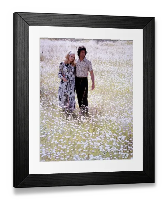 Framed Print : Couple walking through a field of daisies love couple romance romantic for valentines Framed Print : Couple walking through a field of daisies love couple romance romantic for valentines