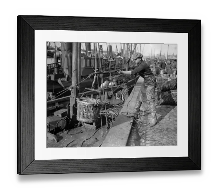 Framed Print : Herring Fishery at Great Yarmouth, Norfolk, England The quayside with the steam Framed Print : Herring Fishery at Great Yarmouth, Norfolk, England The quayside with the steam