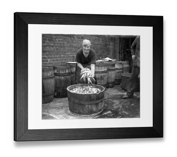 Framed Print : Herring Fishery at Great Yarmouth, Norfolk, England Framed Print : Herring Fishery at Great Yarmouth, Norfolk, England