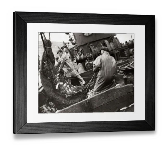 Framed Print : Fishermen on board a trawler in the North Sea Framed Print : Fishermen on board a trawler in the North Sea