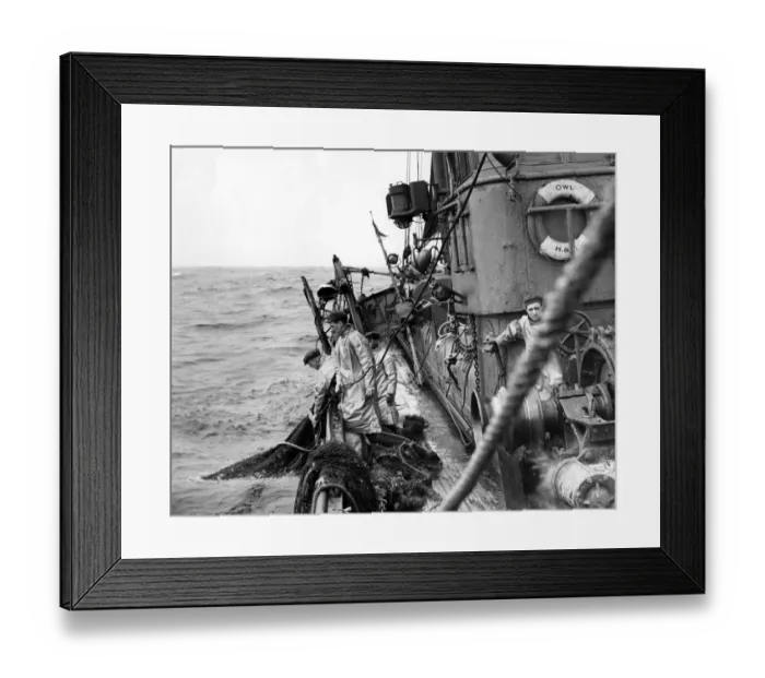 Framed Print : Fishermen on board a trawler in the North Sea hauling in their nets Fish where the fish are