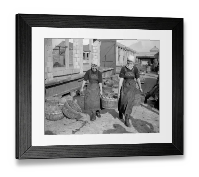 Framed Print : Herring Fishery at Great Yarmouth, Norfolk, England Framed Print : Herring Fishery at Great Yarmouth, Norfolk, England