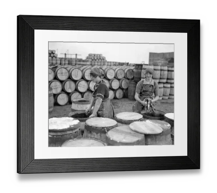 Framed Print : Herring Fishery at Great Yarmouth, Norfolk, England