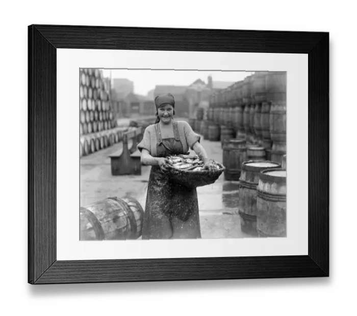 Framed Print : Herring Fishery at Great Yarmouth, Norfolk, England Framed Print : Herring Fishery at Great Yarmouth, Norfolk, England