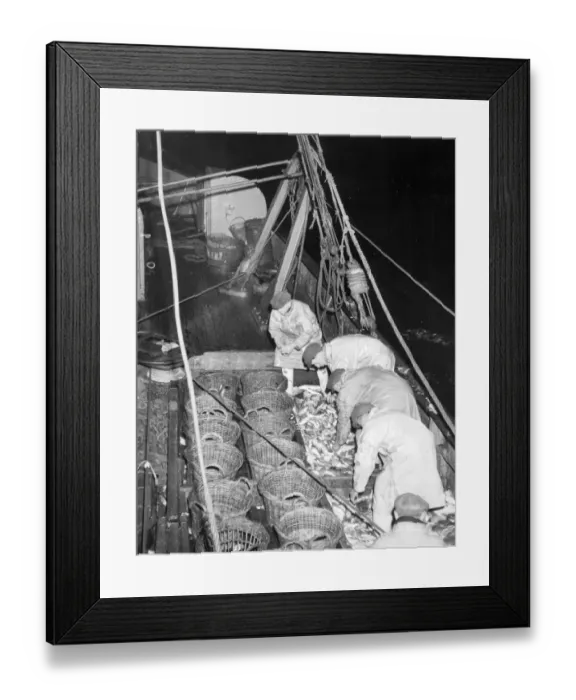 Framed Print : Trawlermen in the North Sea Fish where the fish are Framed Print : Trawlermen in the North Sea Fish where the fish are