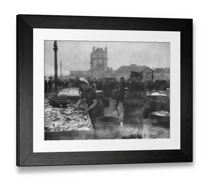 Framed Print : Scotch lassies engaged in curing kippers at Douglas, on the Isle of Man September Framed Print : Scotch lassies engaged in curing kippers at Douglas, on the Isle of Man September