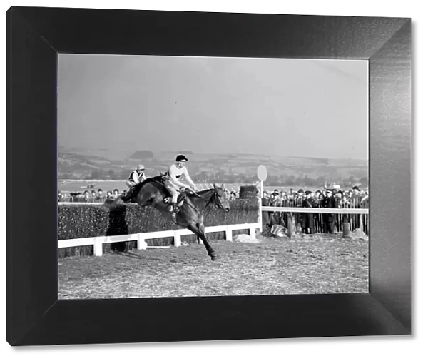 Pat Taaffe on Irish-trained Arkle takes the last fence ahead of English champion Mill House