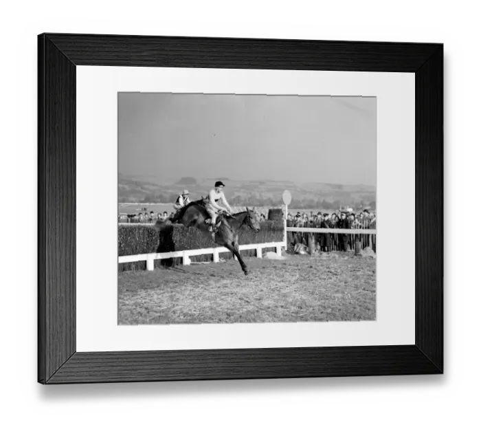 Framed Print : Pat Taaffe on Irish-trained Arkle takes the last fence ahead of English champion Mill House Framed Print : Pat Taaffe on Irish-trained Arkle takes the last fence ahead of English champion Mill House