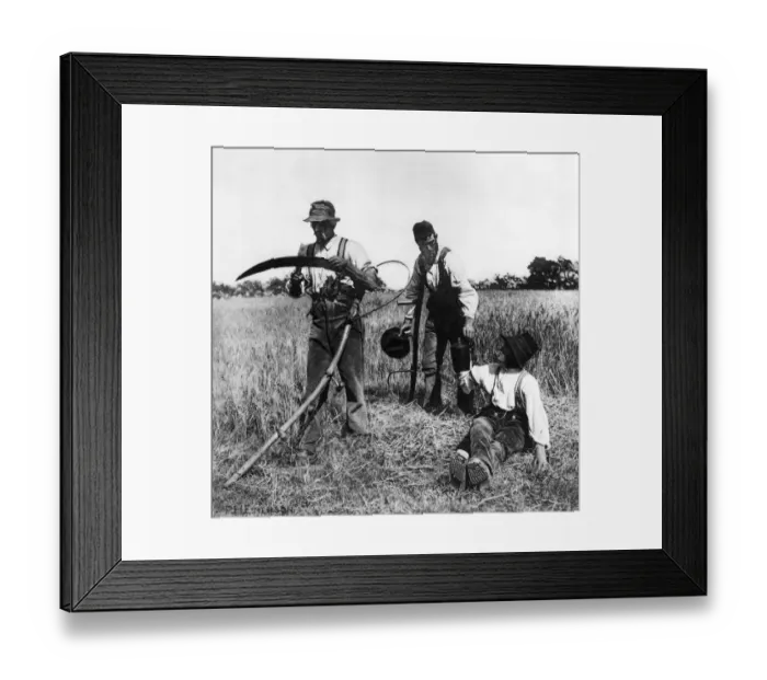 Framed Print : Mono Print