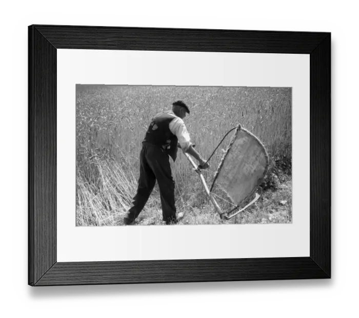 Framed Print : John Topham slide show John Topham presentation Topham lecture Farmer with scythe Framed Print : John Topham slide show John Topham presentation Topham lecture Farmer with scythe