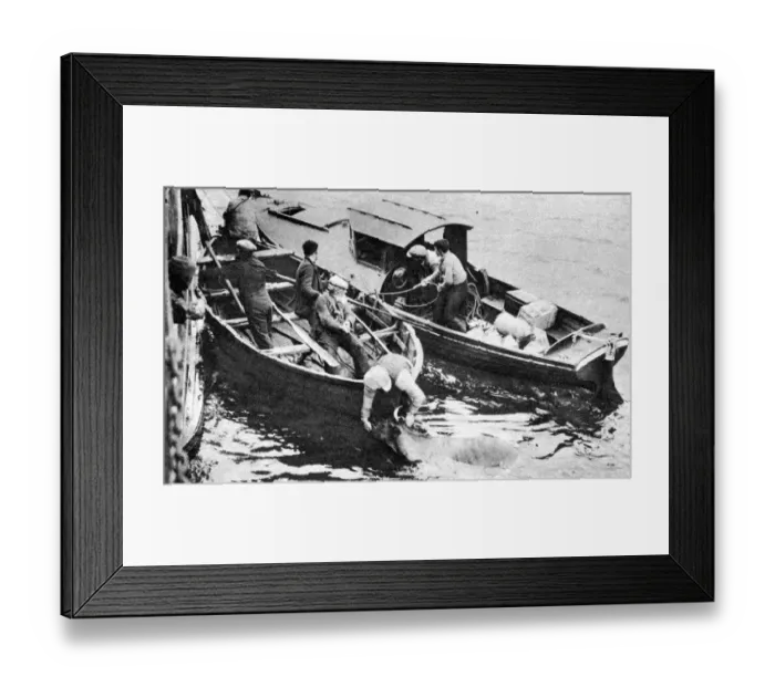 Framed Print : Mono Negative Framed Print : Mono Negative