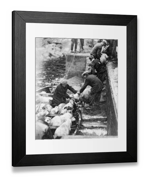 Framed Print : Mono Negative