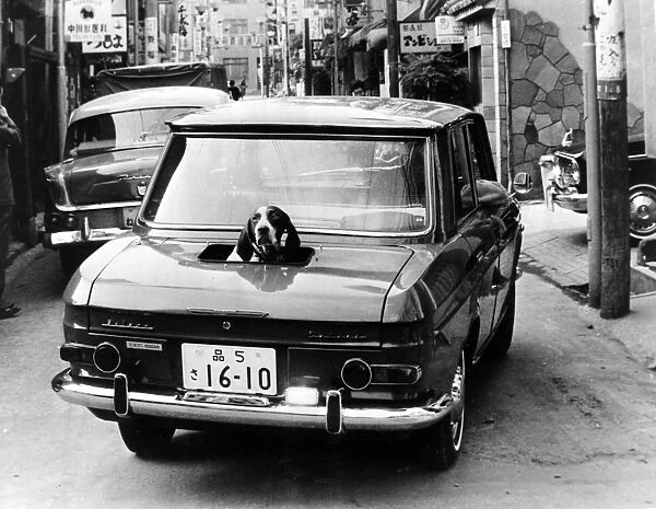 13 NOVEMBER 1964 Only the boot of this Tokyo car is convertible. This lucky pointer