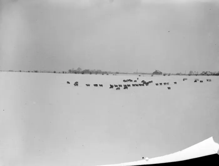 Framed Print : A 20 hour blizzard has caused serious dislocation in Kent, where villages have been almost cut off