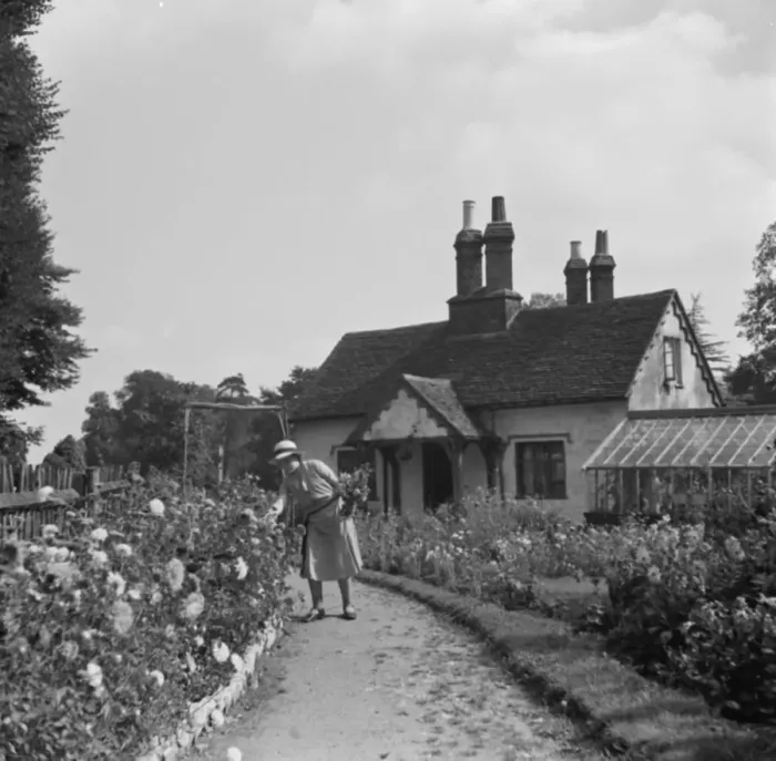 Framed Print : 300 year old cottage in Foots Cray. 1936 Framed Print : 300 year old cottage in Foots Cray. 1936