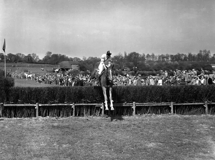 Framed Print : 9 May 1954 Gay Kindersley takes the last on Huckster to win the Masters Cup event at the Old Surrey and Burstow Hunt point-to-point races at Spitals Cross, Edenbridge, Kent, England. TopFoto.co.uk Framed Print : 9 May 1954 Gay Kindersley takes the last on Huckster to win the Masters Cup event at the Old Surrey and Burstow Hunt point-to-point races at Spitals Cross, Edenbridge, Kent, England. TopFoto.co.uk