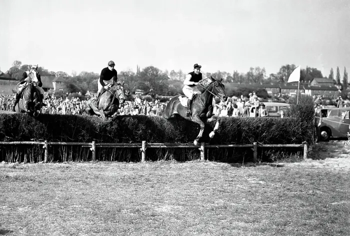 Framed Print : 9 May 1954 T.B. Palmer on Gold Bonus takes the last to win the Harewoods Challenge Cup (Division 2) event at the Old Surrey and Burstow Hunt point-to-point races at Spitals Cross, Edenbridge, Kent, England Framed Print : 9 May 1954 T.B. Palmer on Gold Bonus takes the last to win the Harewoods Challenge Cup (Division 2) event at the Old Surrey and Burstow Hunt point-to-point races at Spitals Cross, Edenbridge, Kent, England