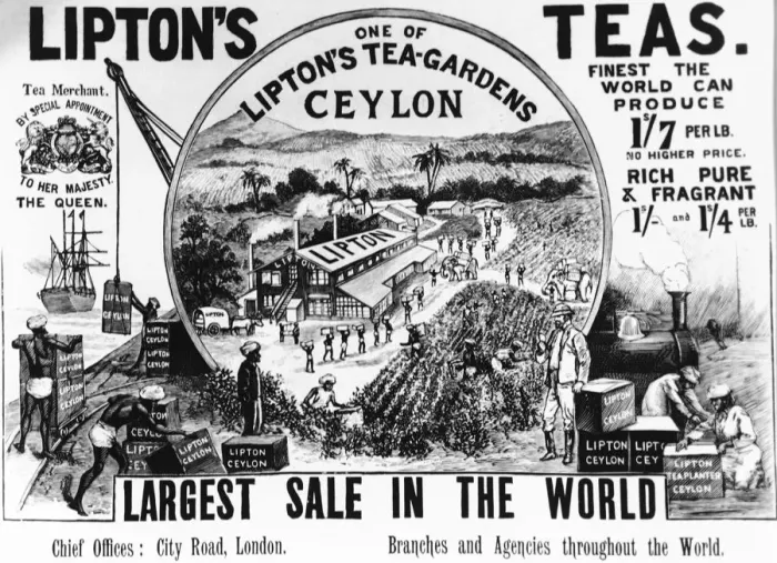 Framed Print : Advertisement for Lipton Tea 1896 Framed Print : Advertisement for Lipton Tea 1896