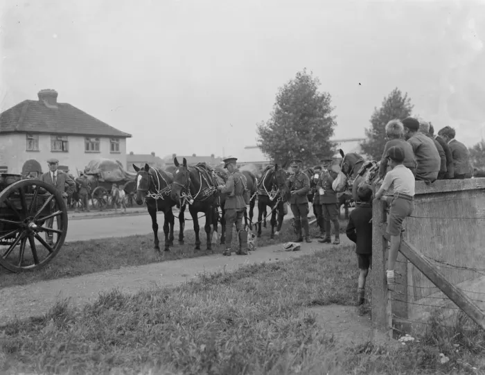 Framed Print : Army manoeuvers in Orpingon, Kent. Troops stop to eat and feed their animals Framed Print : Army manoeuvers in Orpingon, Kent. Troops stop to eat and feed their animals