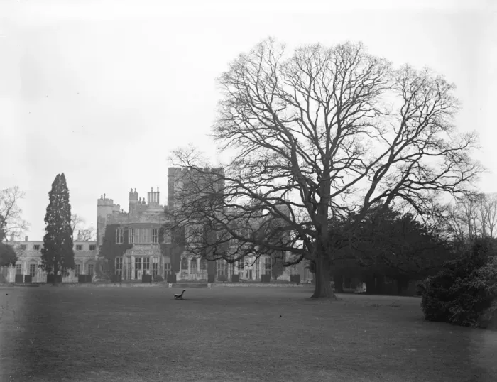 Framed Print : Ashridge House gardens to be opened to the public. 26 March 1929 Framed Print : Ashridge House gardens to be opened to the public. 26 March 1929