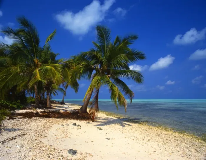 Framed Print : One of the atol islands of the Lakshadweep Islands [Indian Ocean], near Bangaram