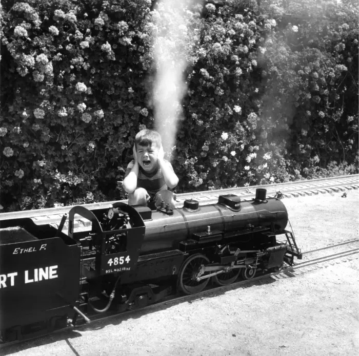 Framed Print : Backyard railway, Engine of a one inch scale train as the pop valve cases a loud Framed Print : Backyard railway, Engine of a one inch scale train as the pop valve cases a loud