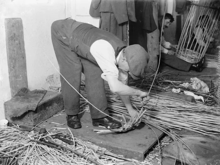 Framed Print : Basket making, Swanley. 1935 Framed Print : Basket making, Swanley. 1935
