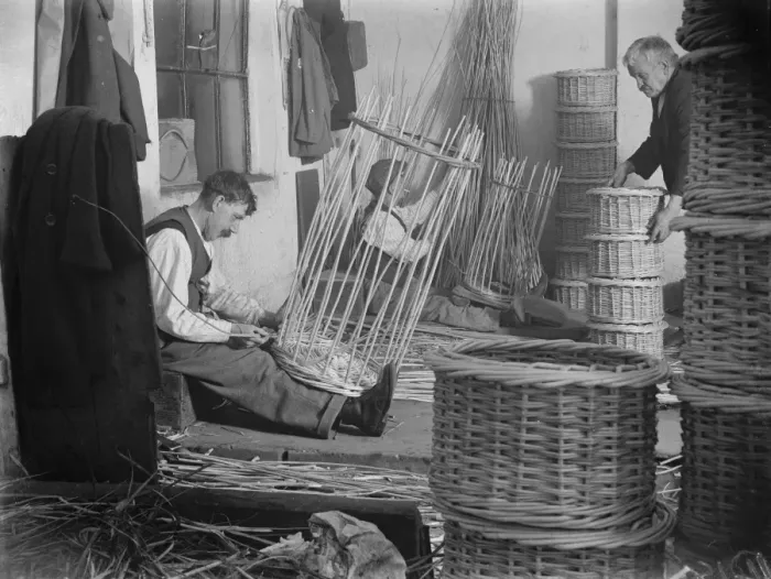 Framed Print : Basket making, Swanley. 1935 Framed Print : Basket making, Swanley. 1935