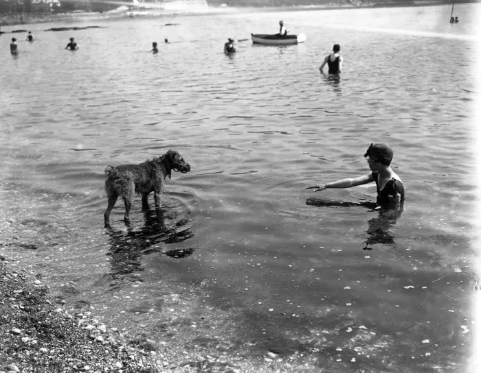 Framed Print : Bathing scenes at Torquay, Devon. A young swimmer and her dog