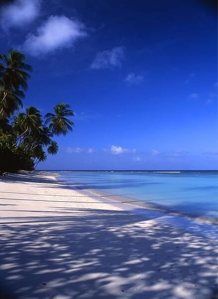 Beach on the island of Tobago, in the West Indies