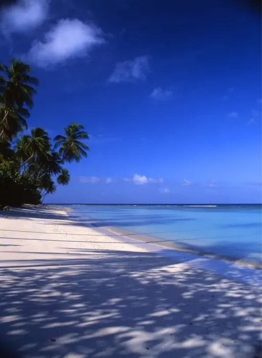 Framed Print : Beach on the island of Tobago, in the West Indies