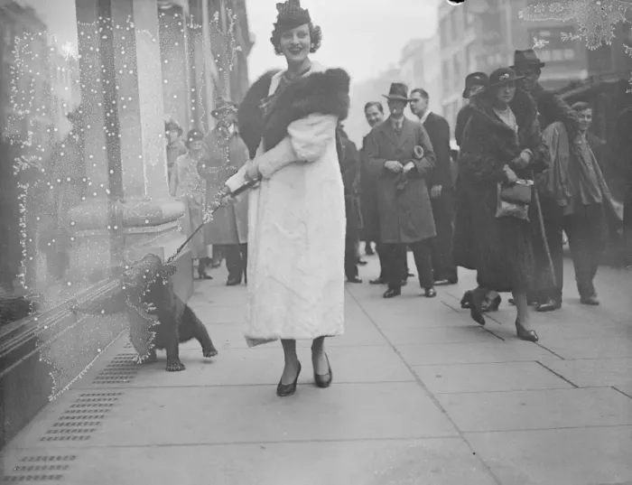 Framed Print : Bear goes shopping in Oxford Street. 16 November 1934 Framed Print : Bear goes shopping in Oxford Street. 16 November 1934