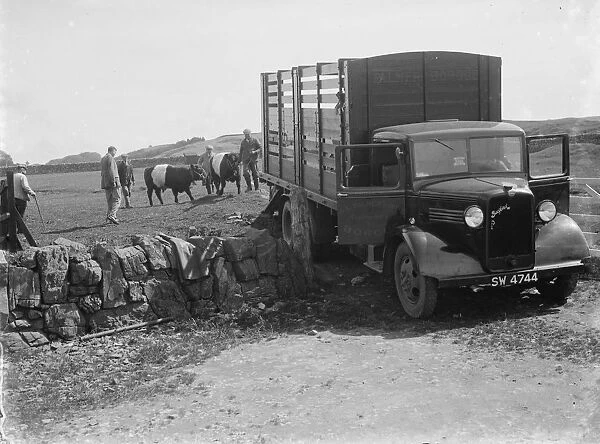 Bedford cattle truck. 1935