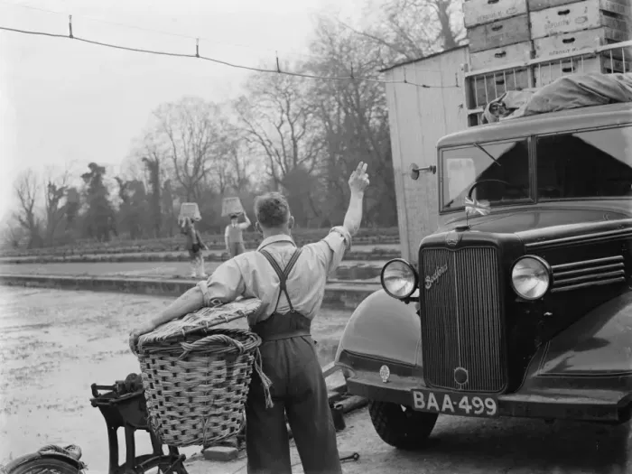 Framed Print : A Bedford truck belonging to E James and Son, the water cress and salad growers Framed Print : A Bedford truck belonging to E James and Son, the water cress and salad growers