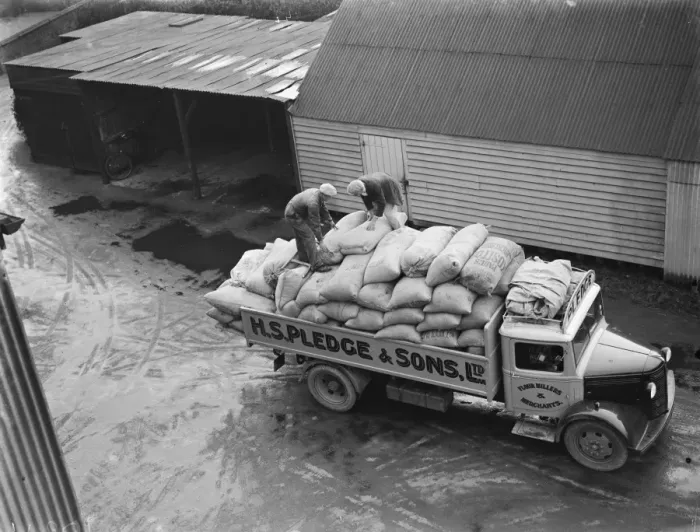 Framed Print : A Bedford truck belonging to Pledge & Son Ltd, the milling company, being loaded Framed Print : A Bedford truck belonging to Pledge & Son Ltd, the milling company, being loaded