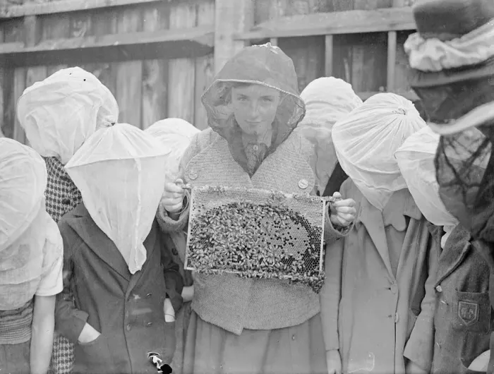Framed Print : A beekeeping class is an innovation at Wood Lane, Shepherds Bush, London open-air school Framed Print : A beekeeping class is an innovation at Wood Lane, Shepherds Bush, London open-air school