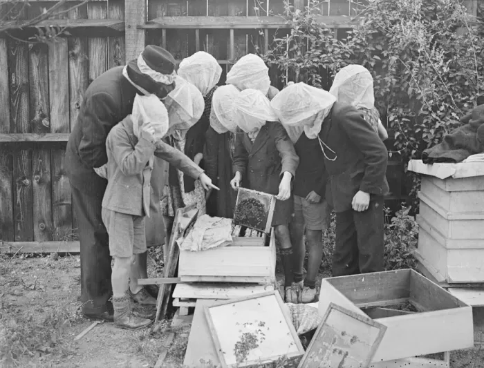 Framed Print : A beekeeping class is an innovation at Wood Lane, Shepherds Bush, London open-air school Framed Print : A beekeeping class is an innovation at Wood Lane, Shepherds Bush, London open-air school
