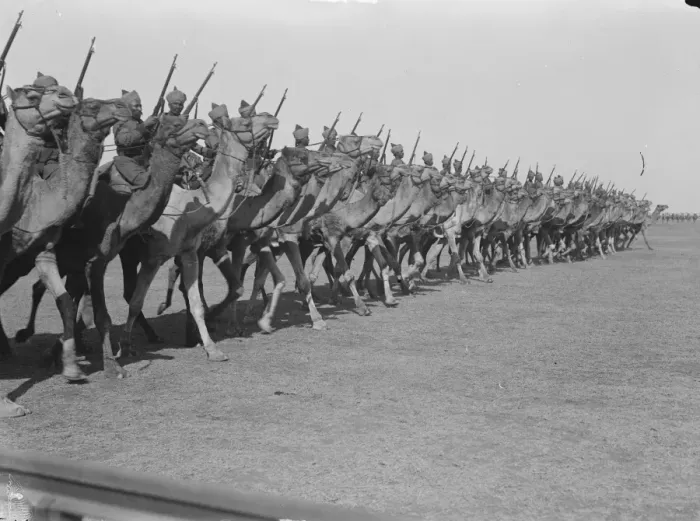 Framed Print : The Bikaner Camel Corps India 1921