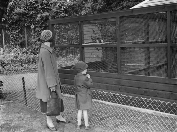 Framed Print : A bird aviary at Danson Park in Bexley, London. 1938 Framed Print : A bird aviary at Danson Park in Bexley, London. 1938