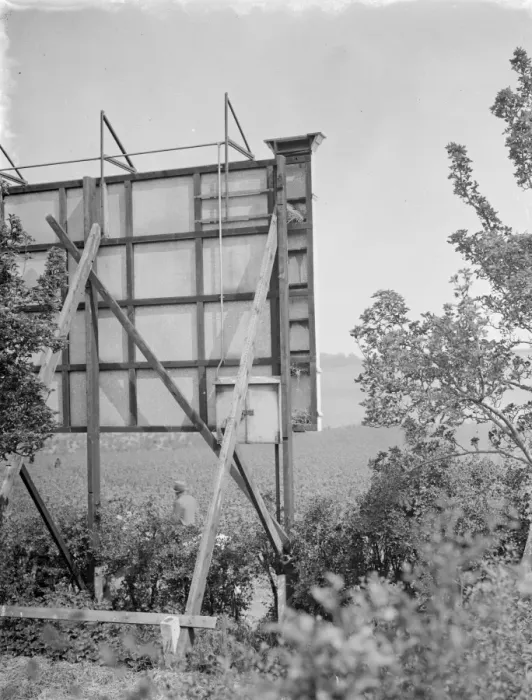 Framed Print : Birds nests in the back of an advertising hoarding, Ruxley, Kent